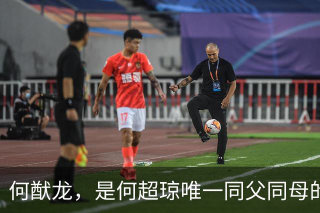 何猷龙，是何超琼唯一同父同母的亲弟弟
