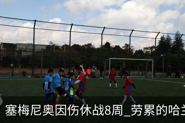 塞梅尼奥因伤休战8周 劳累的哈兰德日子更苦了