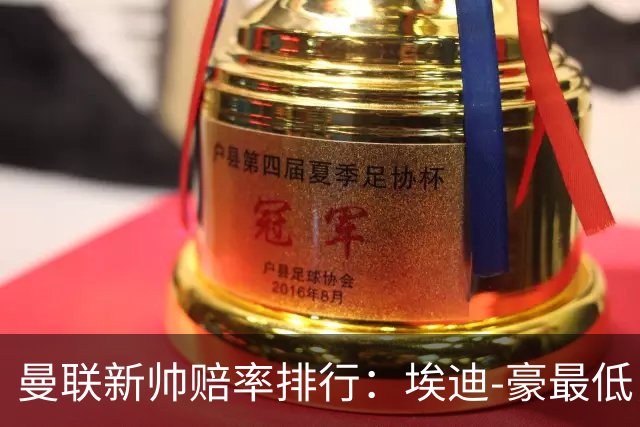 曼联新帅赔率排行：埃迪-豪最低，纳格尔斯曼、孔蒂其次