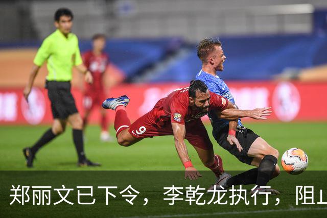 郑丽文已下令，李乾龙执行，阻止连署开除赵少康，蓝营避免大内斗
