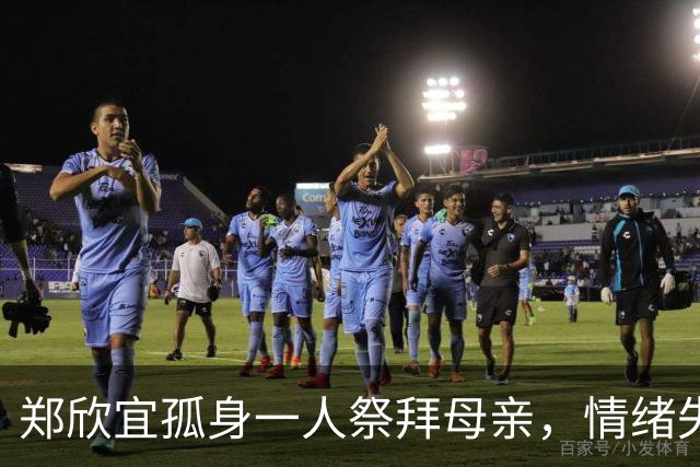 郑欣宜孤身一人祭拜母亲，情绪失控泪流不止，受抑郁症困扰已退圈多年