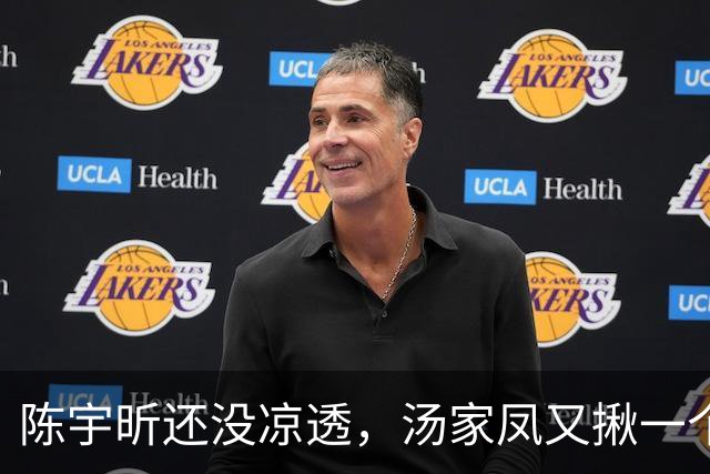 陈宇昕还没凉透，汤家凤又揪一个“精日”人员：竟然还是公司老板