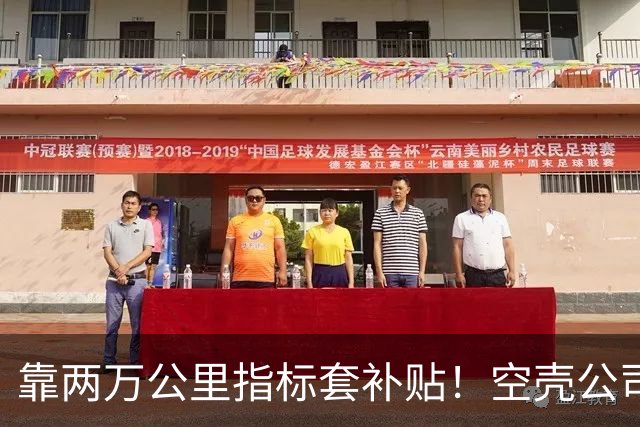 靠两万公里指标套补贴！空壳公司卷走三个亿，全甩给底层买单